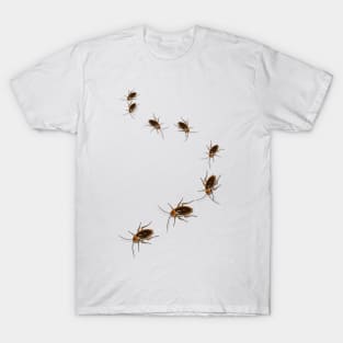 Cockroach follow path a gift T-Shirt